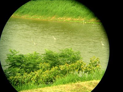 A view through a telescope of subjects that are likely 100 meters away