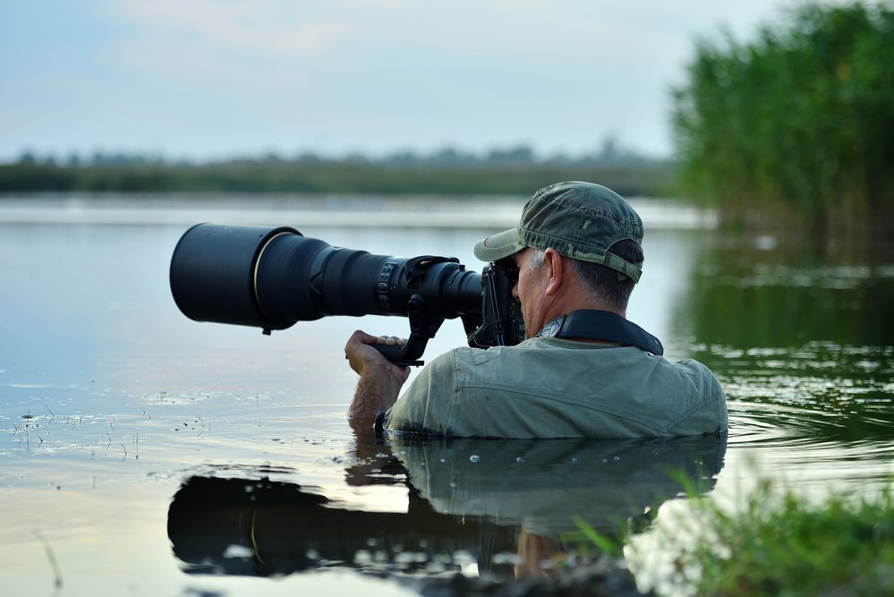 best camera for wildlife photography