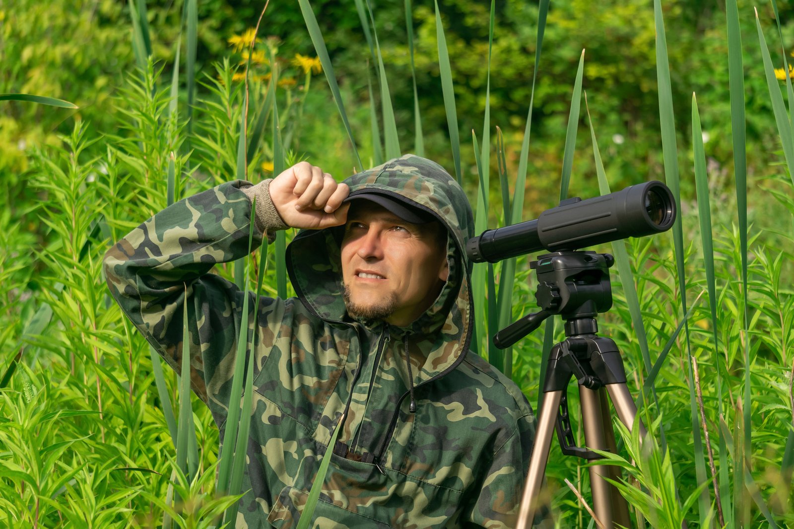 man ornitologist makes observations in the wild with a spotting scope among the thickets in a river valley