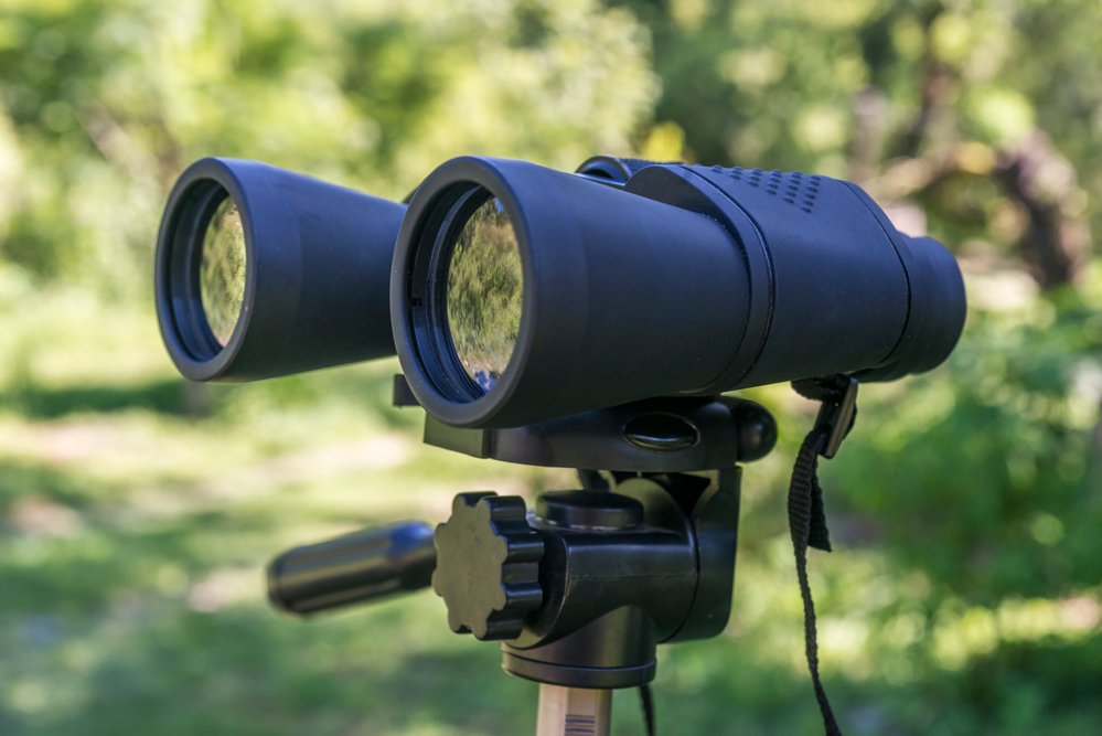 A scope placed on a stand