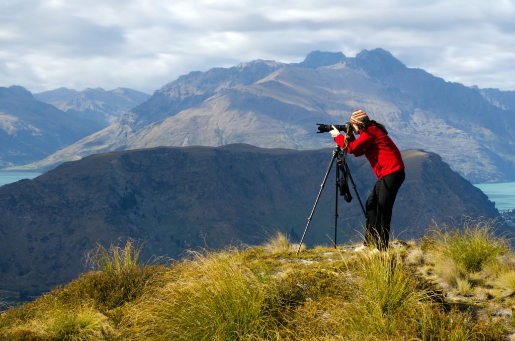 Photographing birds