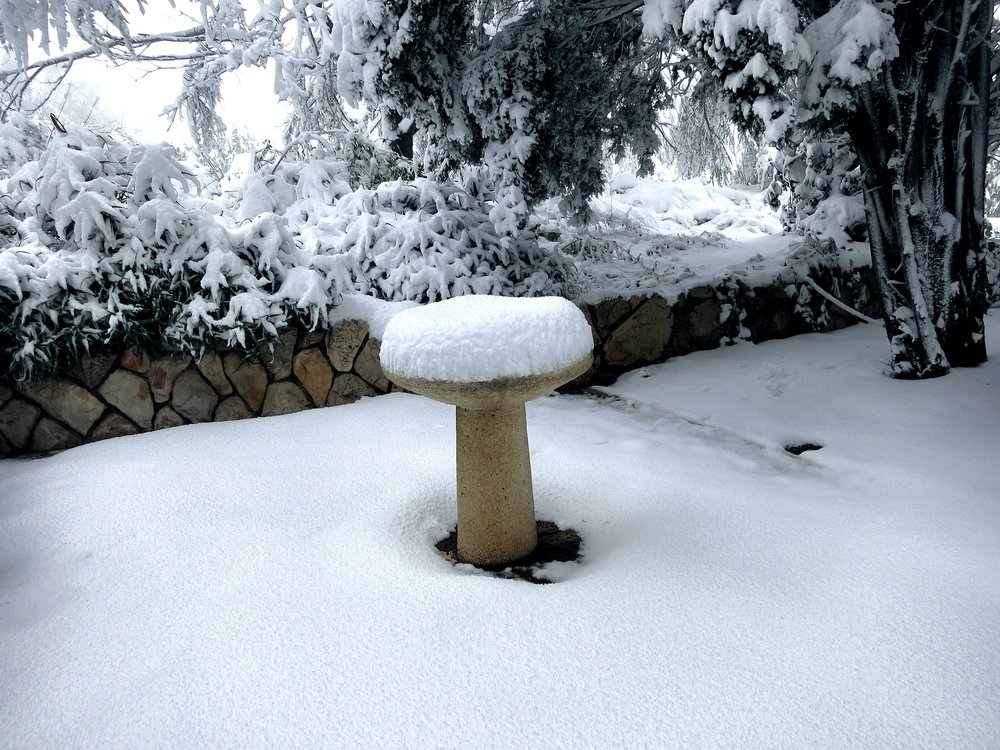 Bird bath covered in snow