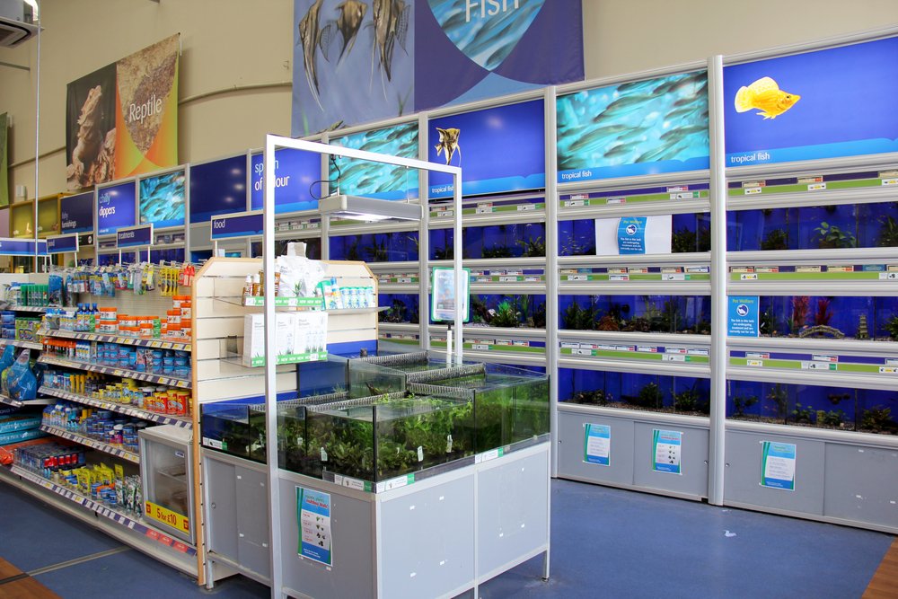 Fish products and aquariums
