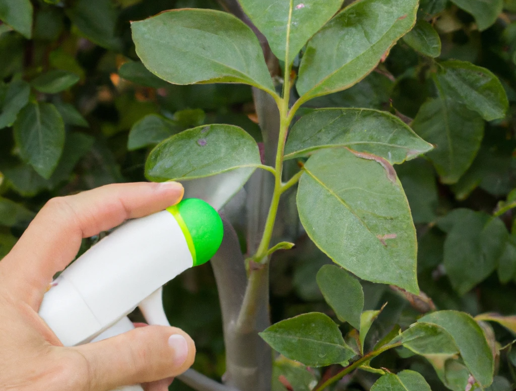 Treating spider mite infestation with insecticide
