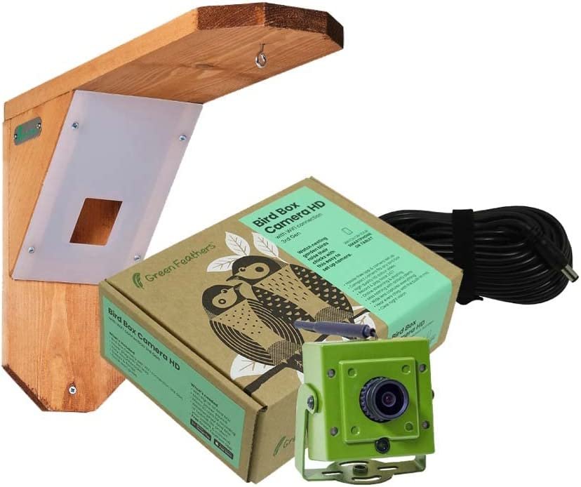 Green Feathers 1080p HD Outdoor Bird Feeder Camera Wooden Deluxe Feeder Station Bundle