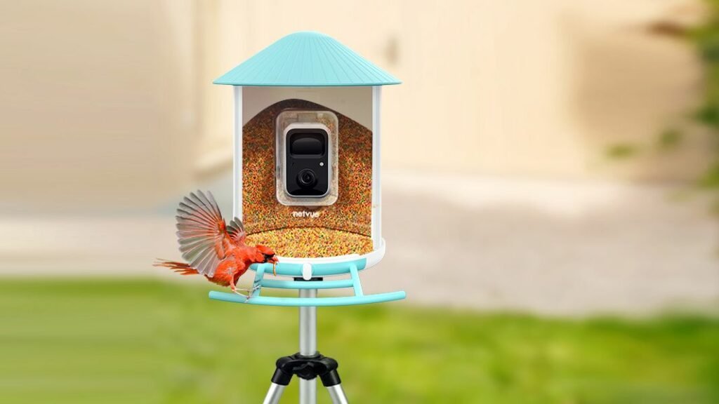 best bird feeder camera