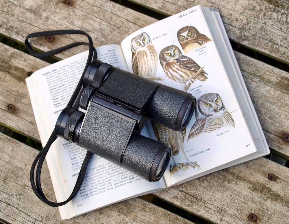 Books about birds